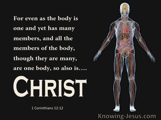 1 Corinthians 12:12 The Body Is One With Many Members So Also Christ (black)